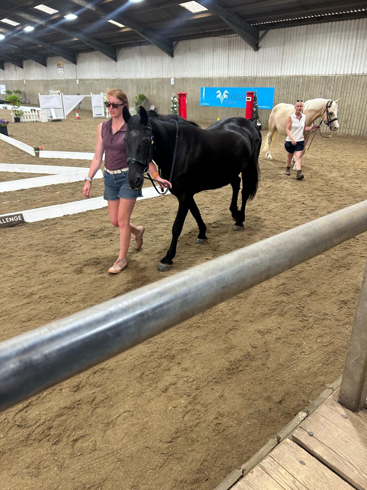 Arrow Riding Centre... - Arrow Riding Centre for the Disabled