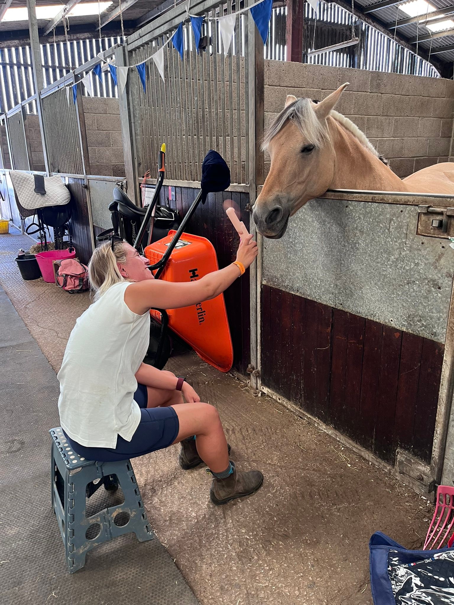 Arrow Riding Centre... - Arrow Riding Centre for the Disabled