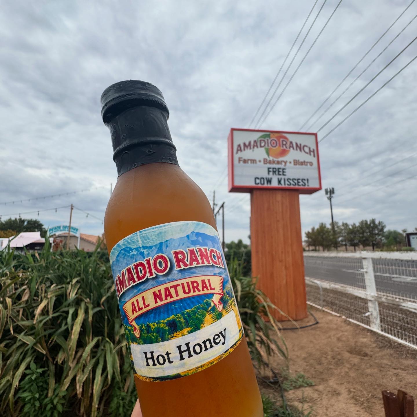 Amadio Ranch Heritage Farm | Laveen AZ