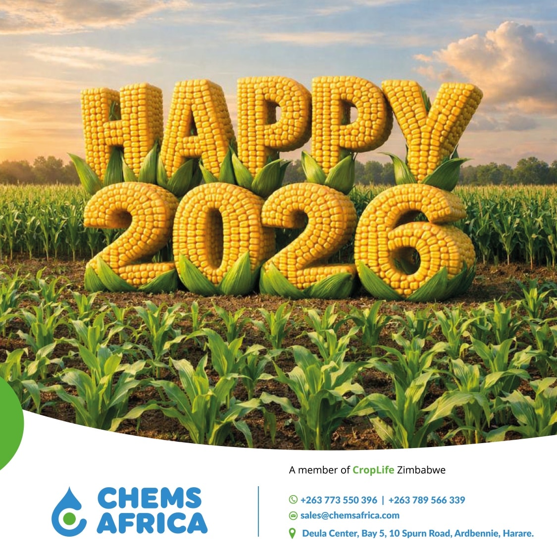 Chems Africa