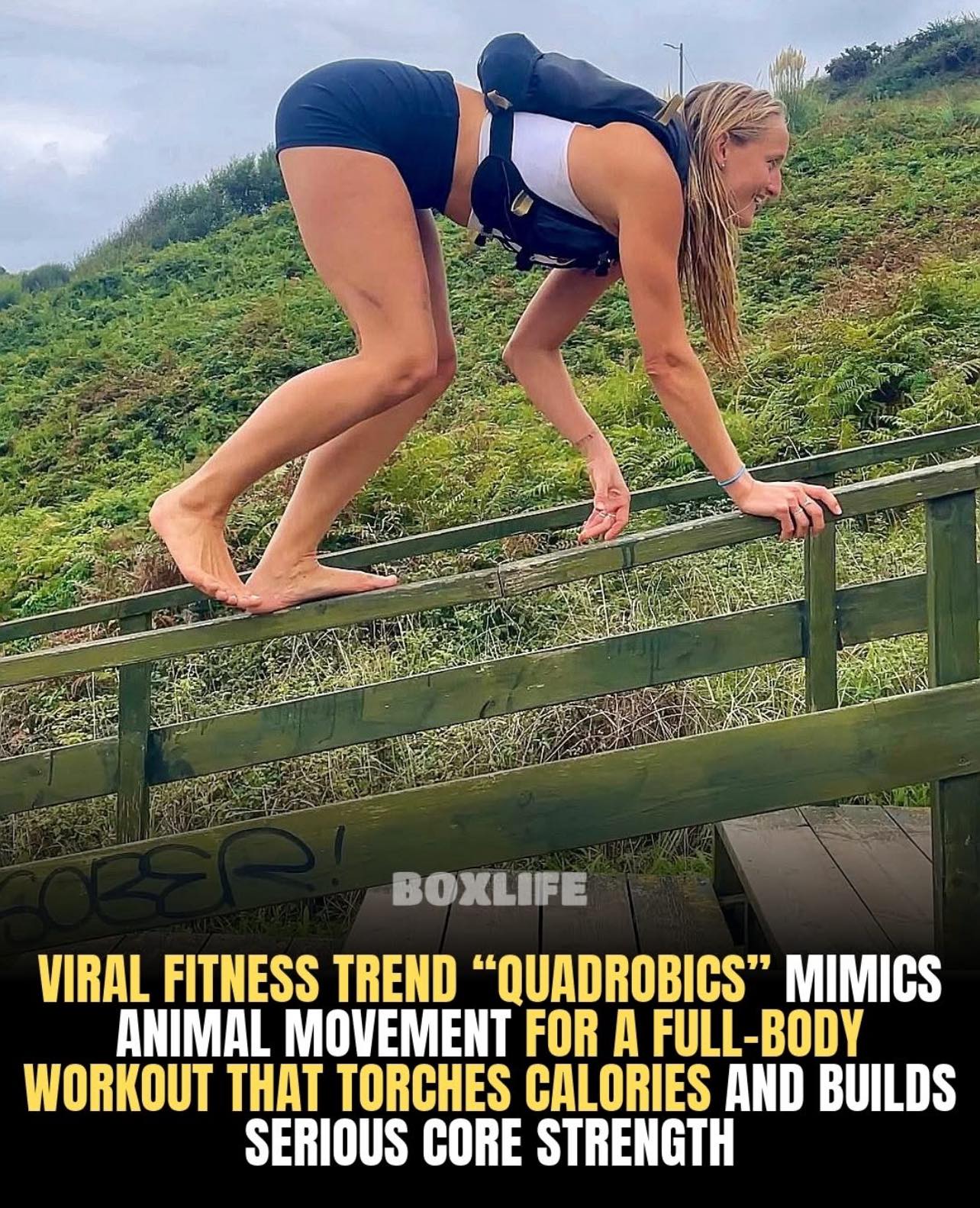 Gym - Quadrobics turns “move like an animal” into a full-body fitness ...