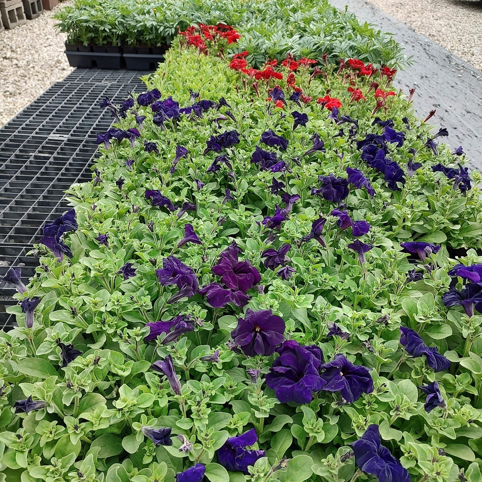 Kurtz Bros Mulch & Soils