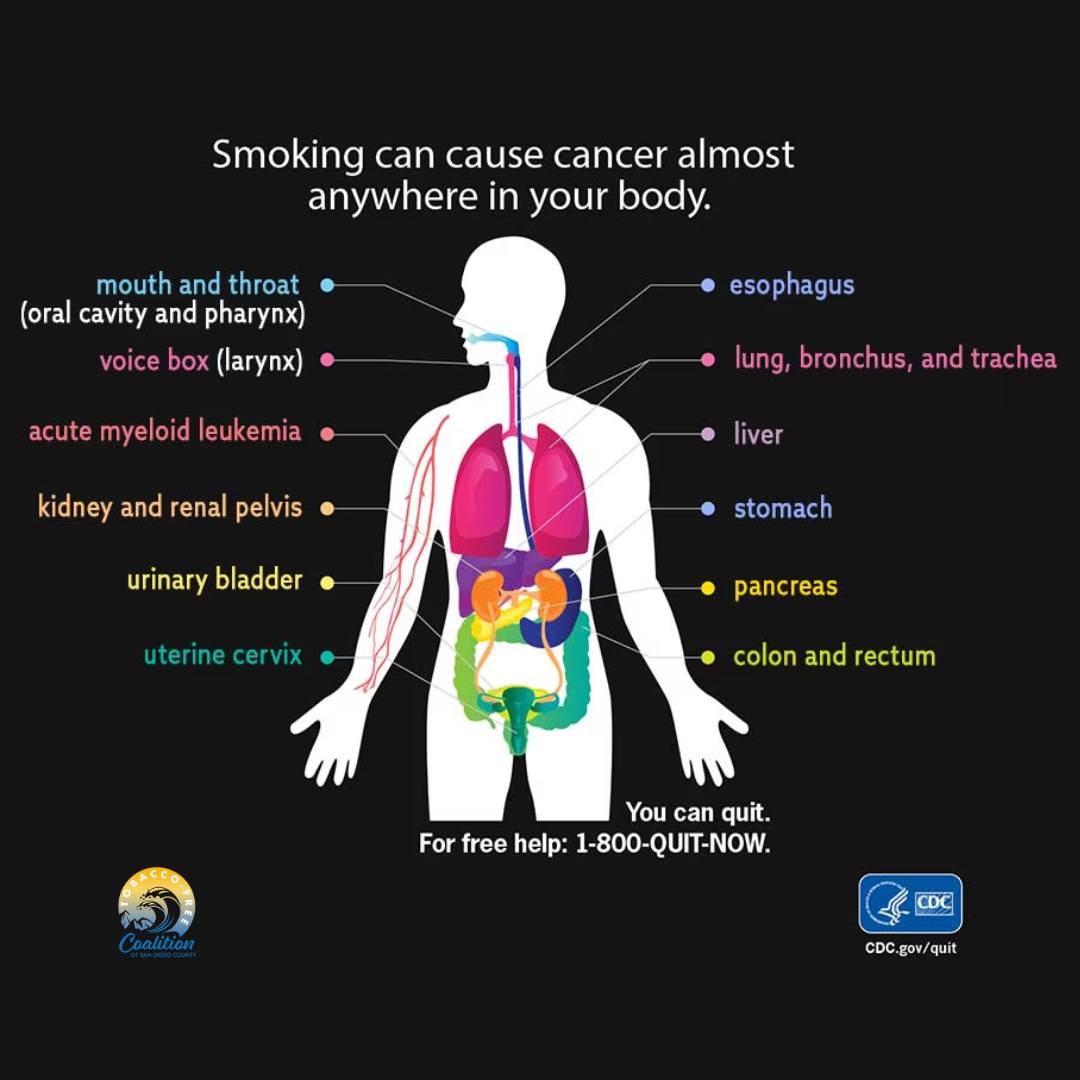 Did you know that smoking harms... - Smoke-Free San Diego | Facebook