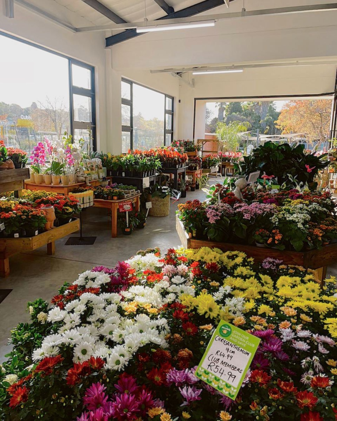 stodels-garden-club-did-you-know-that-our-stodels-bellville-garden