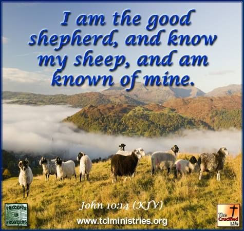 John 10:14 I am... - King James Bible Scripture Pictures | Facebook
