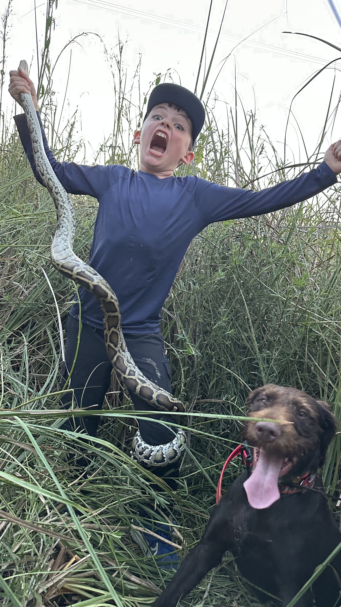 Python - This might be the best photo of the year so far! | Facebook