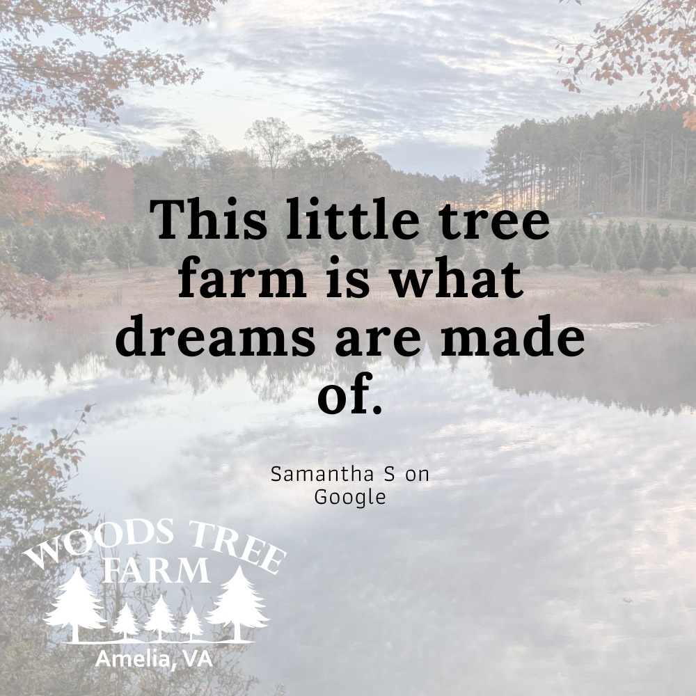 Woods Tree Farm | Amelia Court House VA