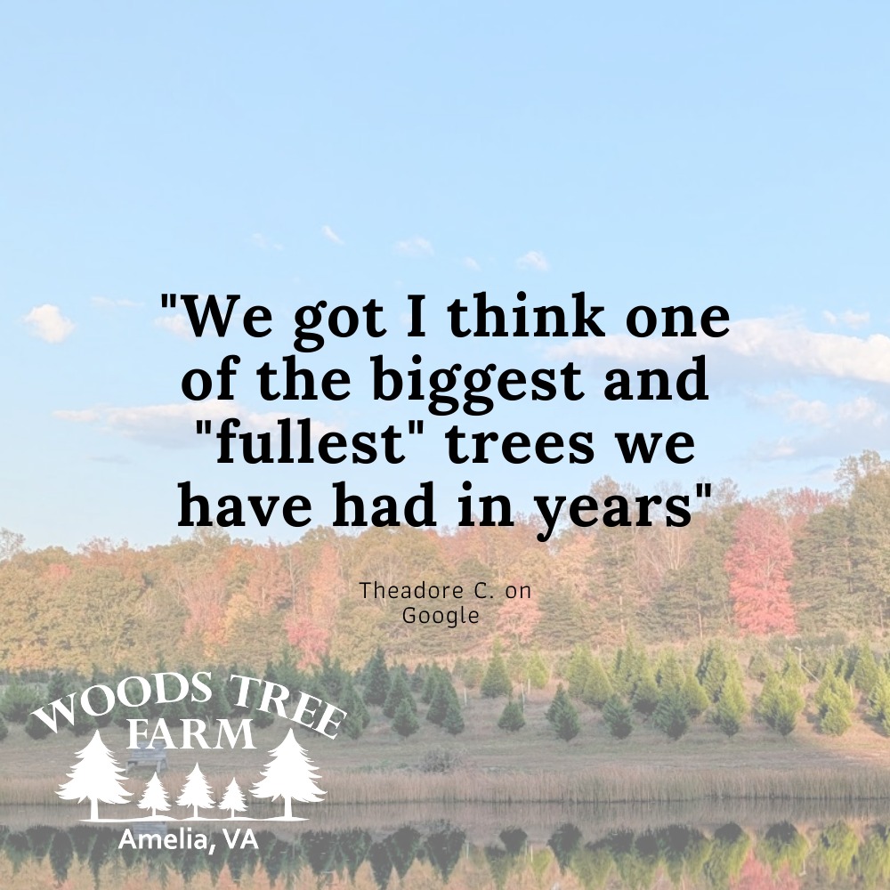 Woods Tree Farm | Amelia Court House VA