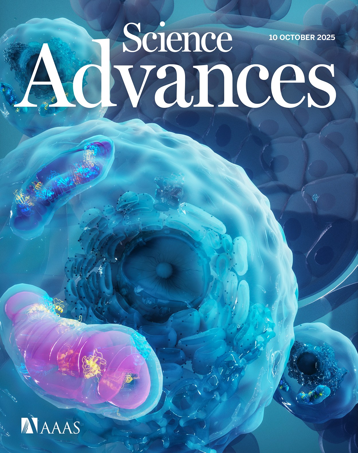 Science - Researchers show that innate immune signaling forms a ...