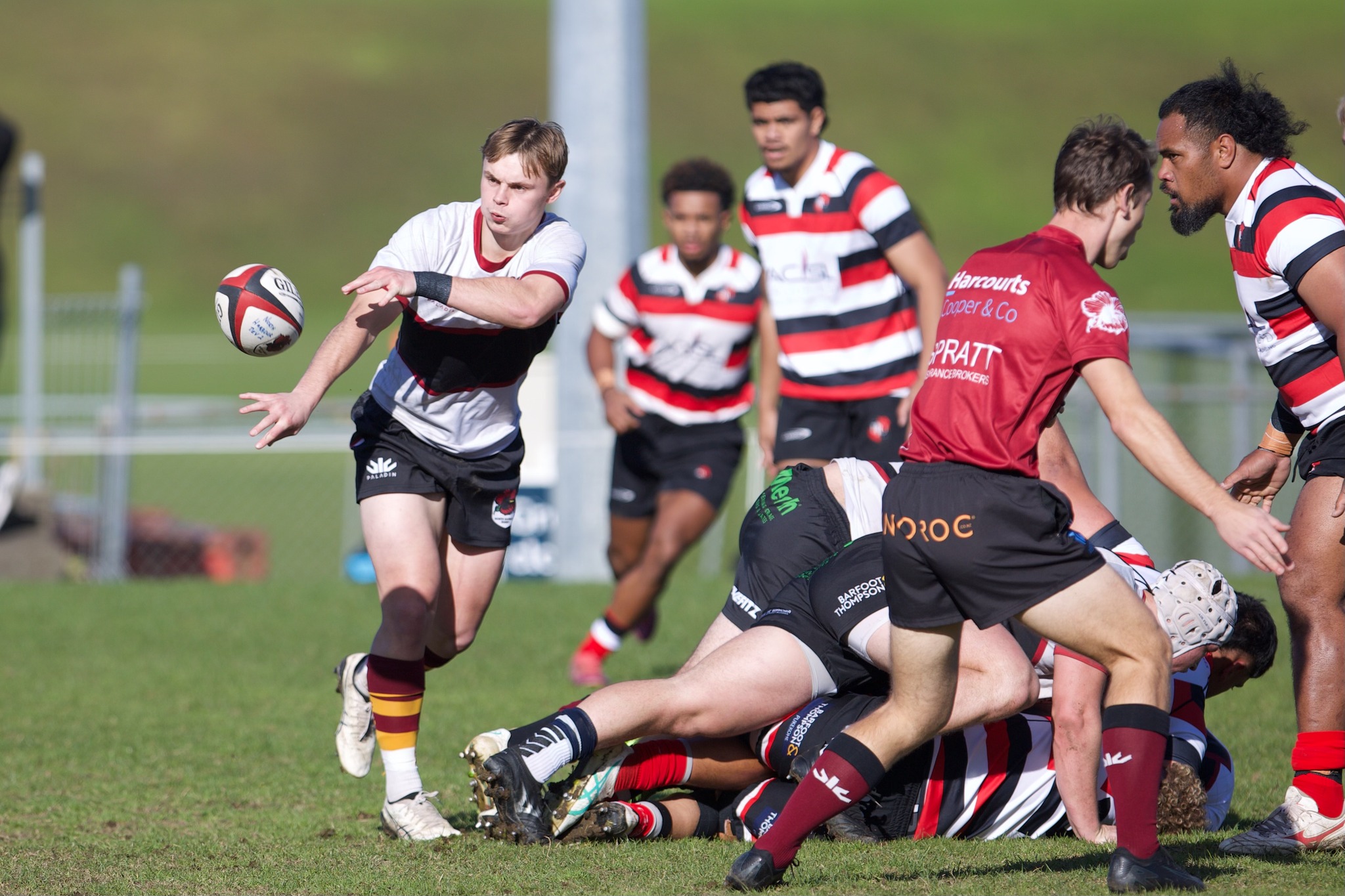 Harbour Grassroots Rugby... - Harbour Grassroots Rugby Photos