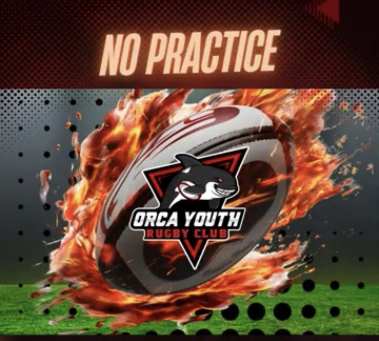 Orca Youth Rugby Club added a new... - Orca Youth Rugby Club