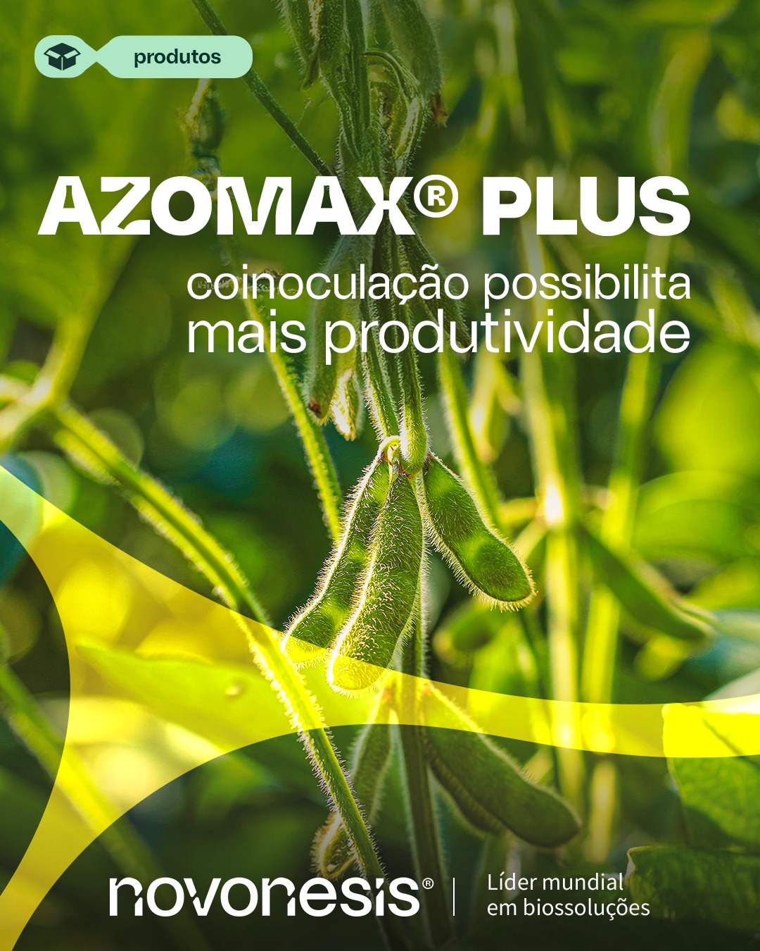 Novonesis Agro Brasil