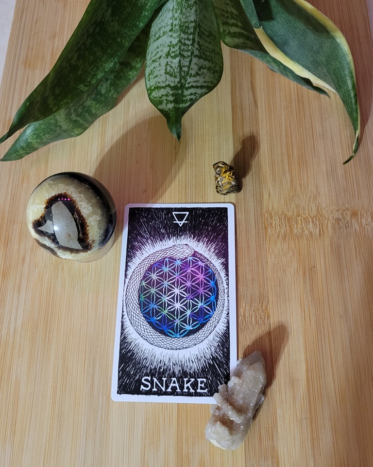 Tears - Happy Lunar New Year! 2025 is the year of the Snake! 🐍🐍🐍 The ...
