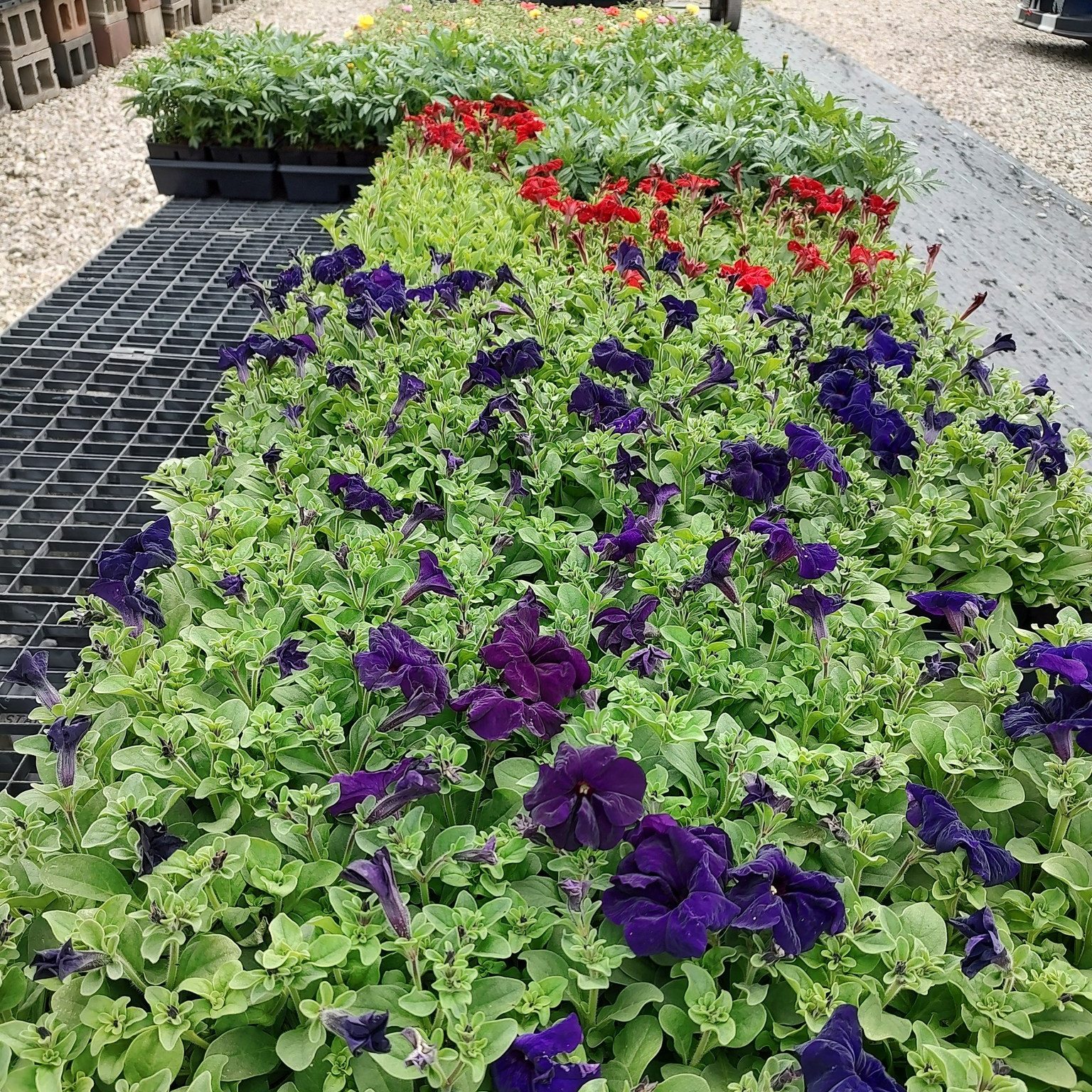 Kurtz Bros Mulch & Soils