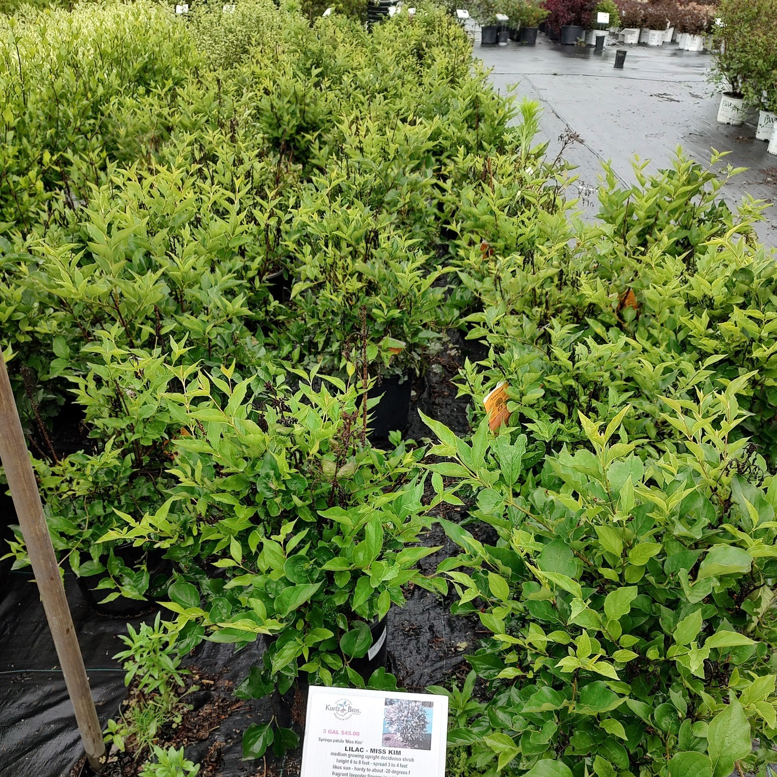 Kurtz Bros Mulch & Soils