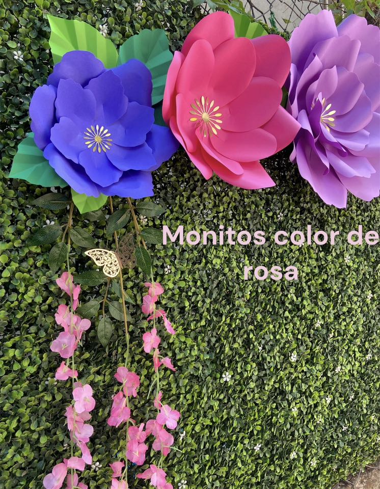 Monitos color de rosa | Tepecoacuilco