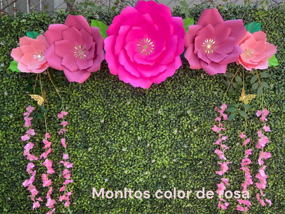 Monitos color de rosa | Tepecoacuilco
