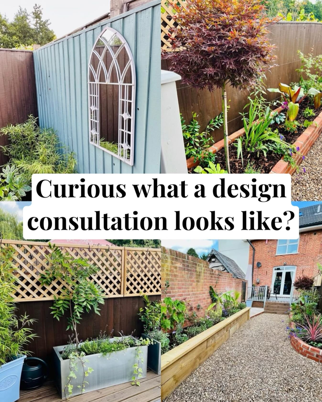 What to Expect from a Garden Designer: Expert Insights