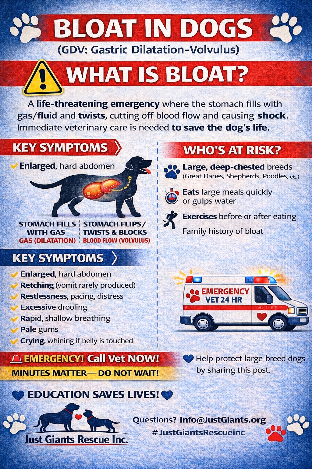 Just - 🚨 BLOAT IS A TRUE EMERGENCY 🚨 Bloat (GDV) can turn fatal in ...