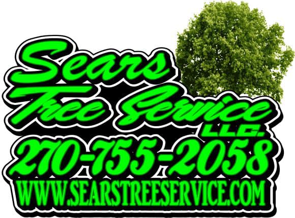 Sears Tree Service, LLC | Lewisburg KY