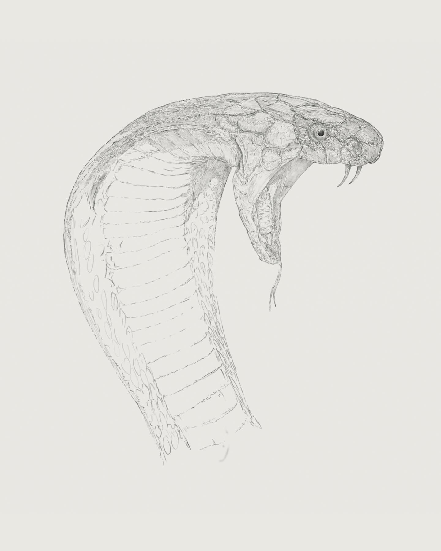 Ben Rothery Illustrator | London