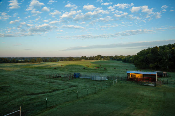 Tubac Ranch, LLC | Tubac AZ