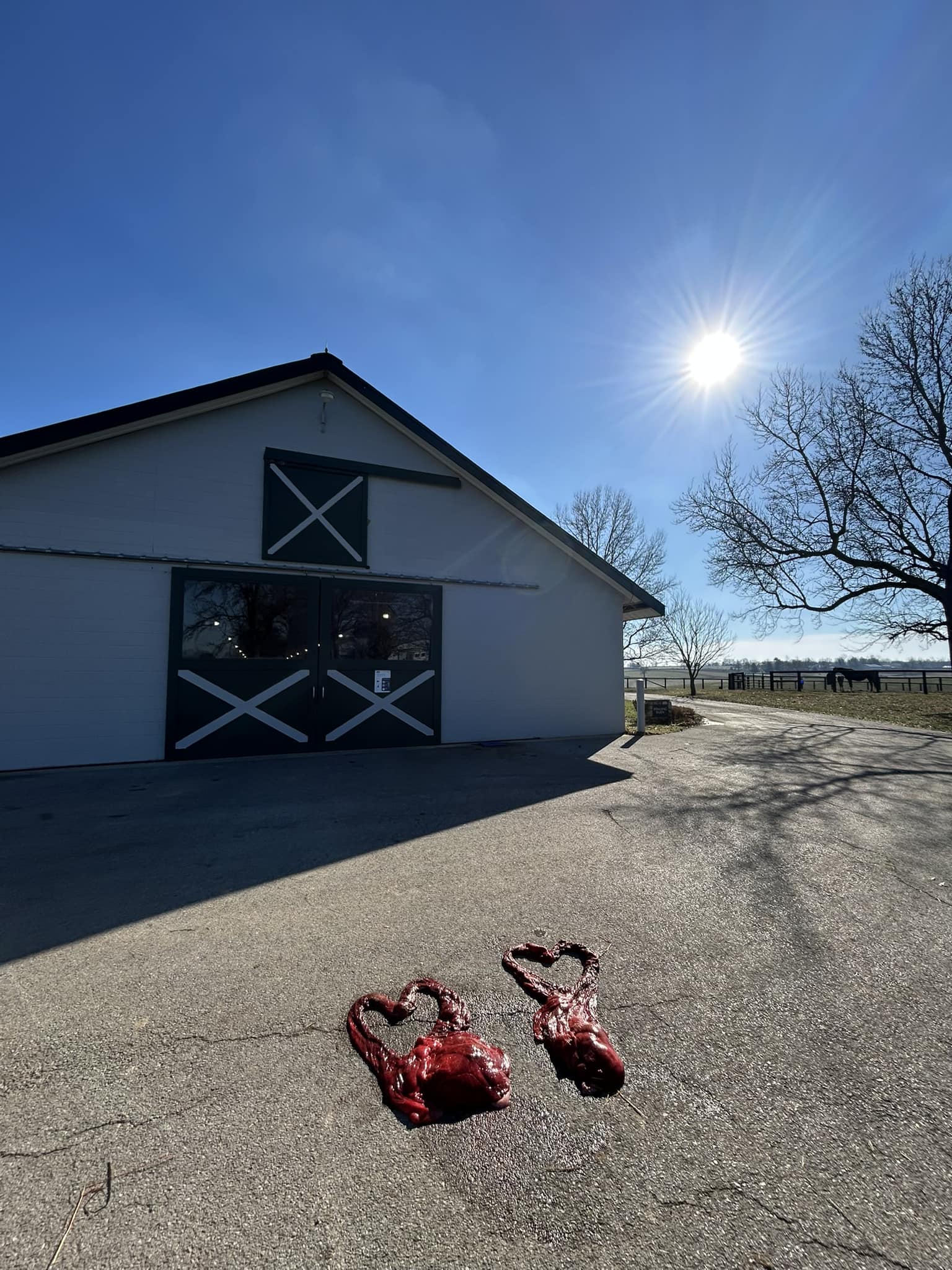 Hagyard Equine Medical Institute | Lexington KY