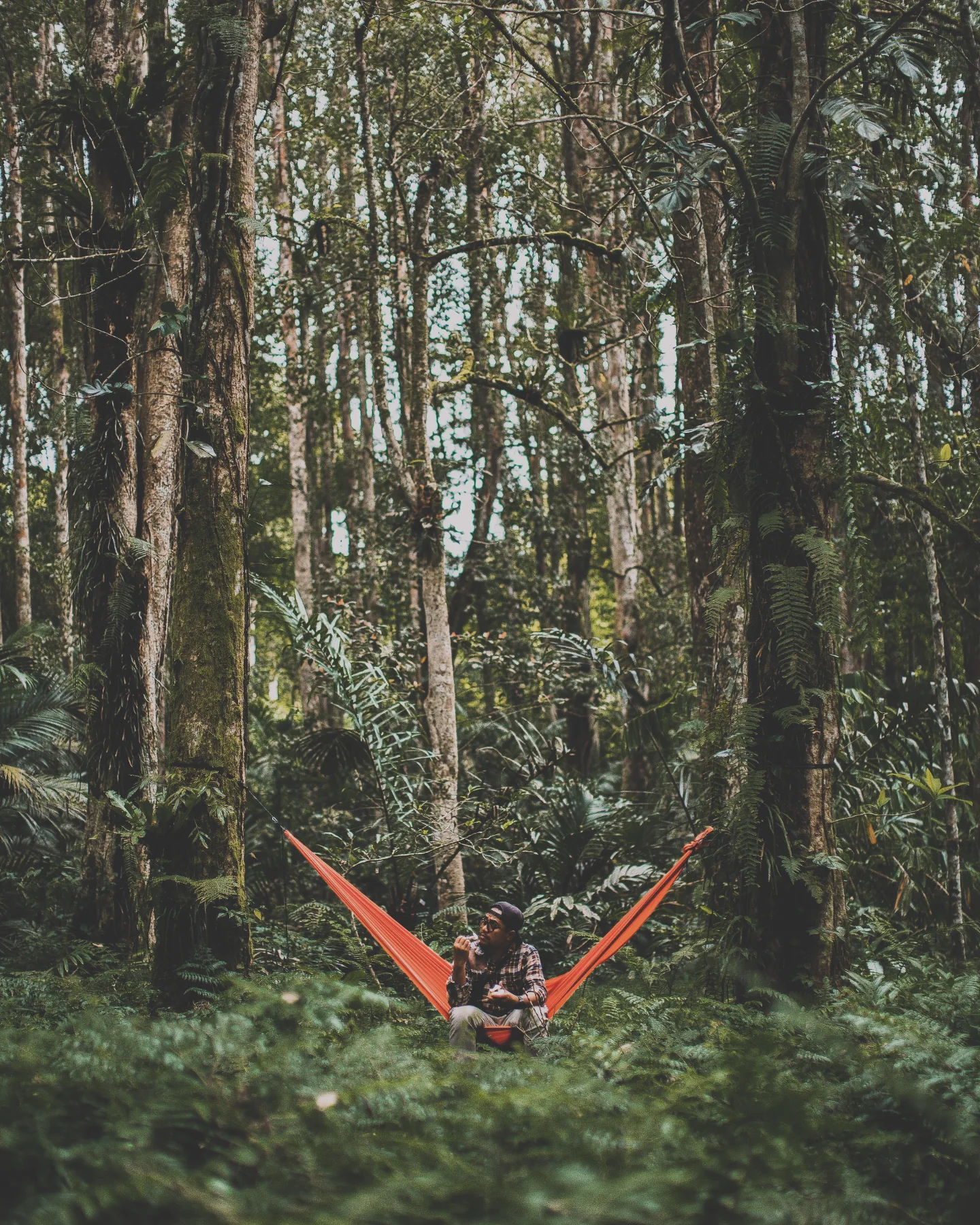 Bushcraft Bali | Baturiti