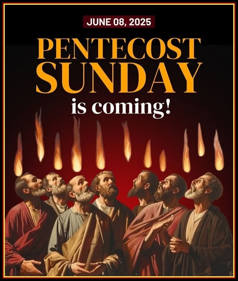 This Sunday -... - Sacred Heart Catholic Church, Troy | Facebook