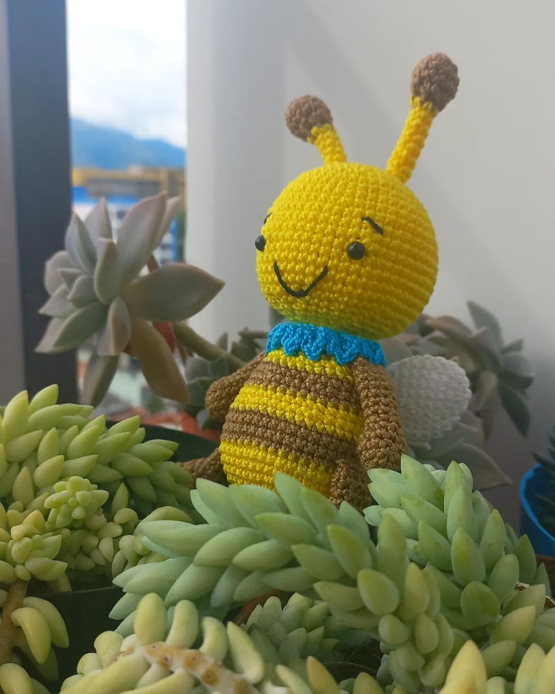 Abeja Granjera - 🔎¡OJO AL DATO! 👀📝Según National Geographic, las abejas ...