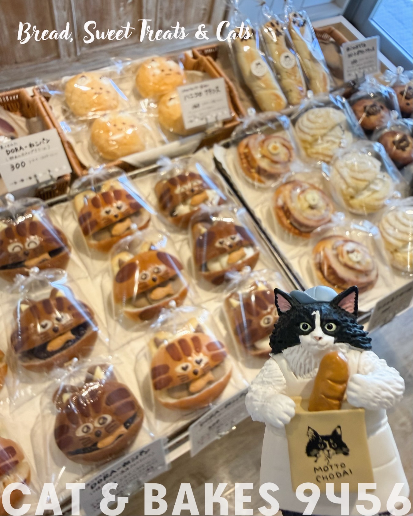 CAT & BAKES 9456 | Shizuoka-shi Shizuoka