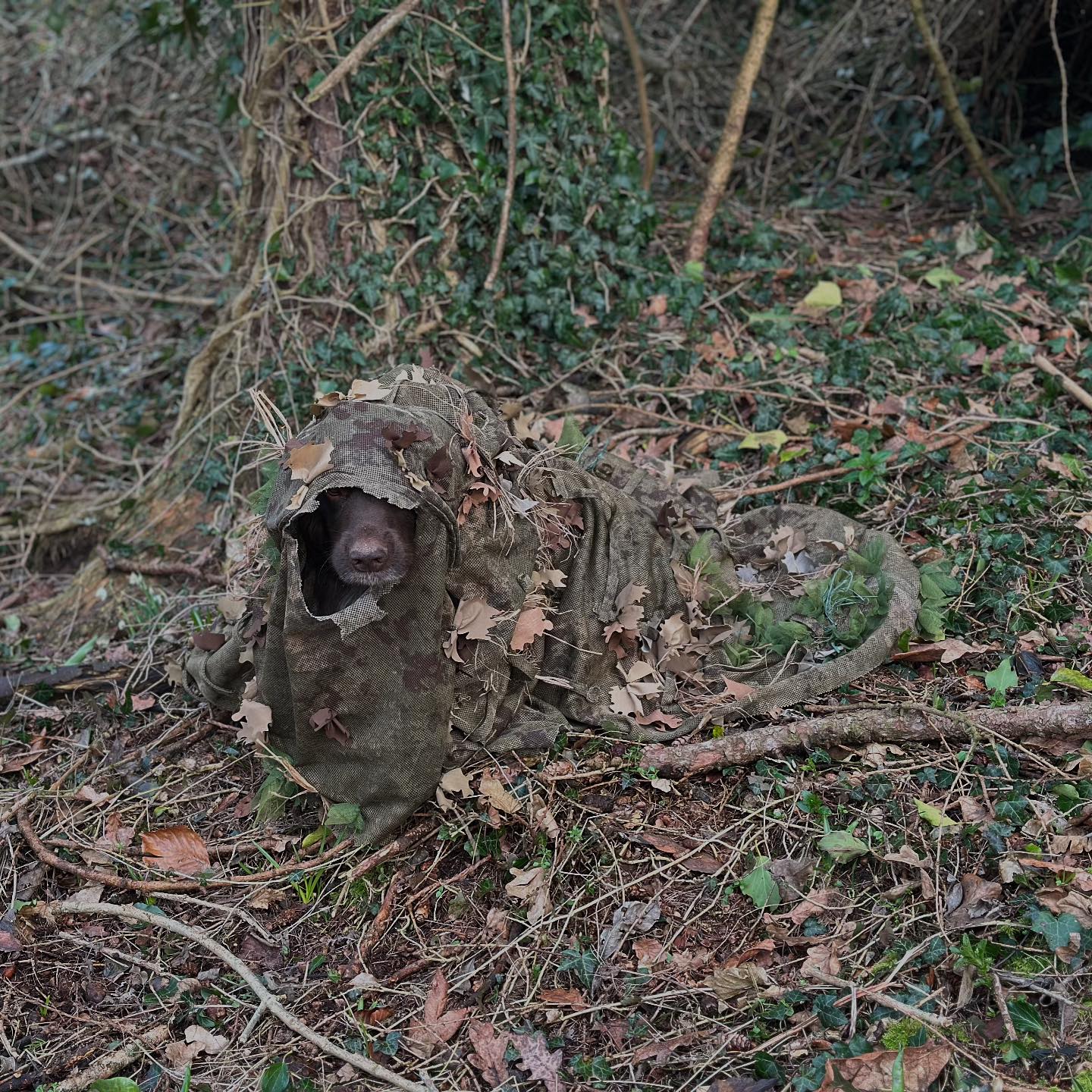 KMCS 4.1 Dark Forest Ghillie Suit. #camouflage