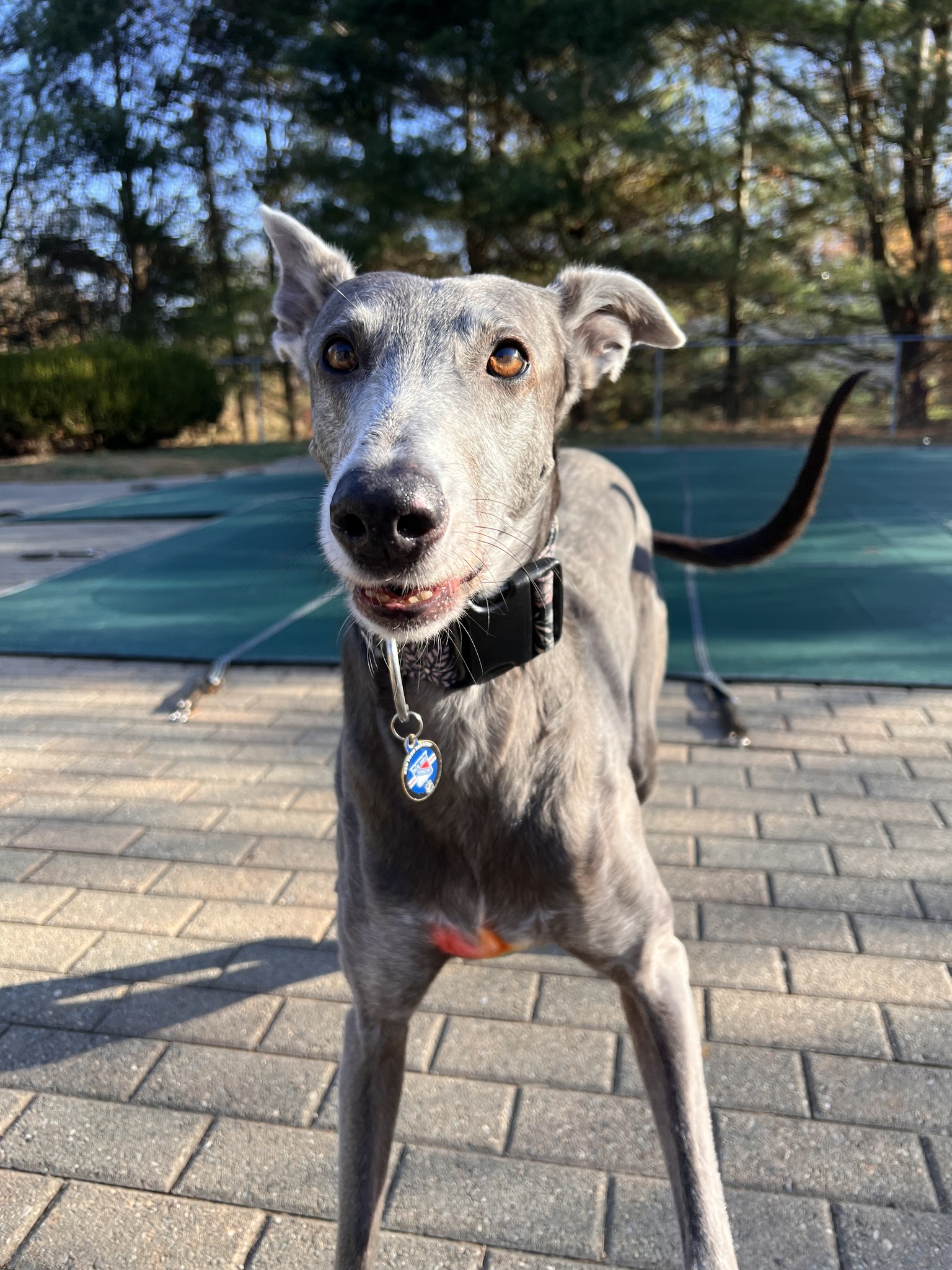 Smith Ridge Veterinary Center | South Salem NY