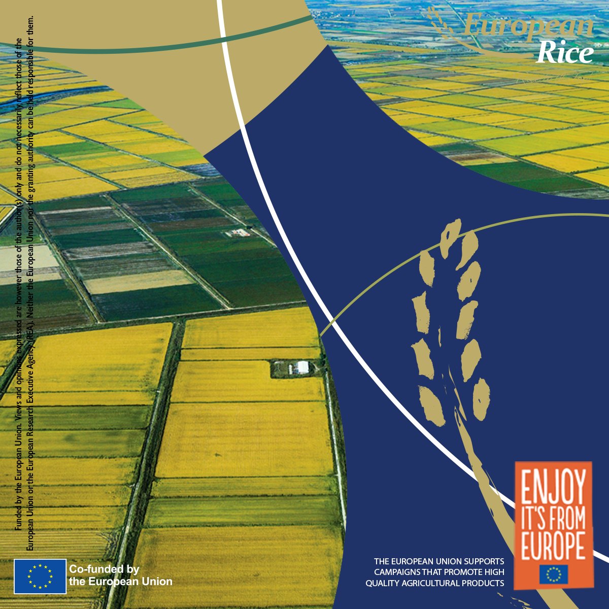 European Rice - 🇬🇧 Rice was introduced to Europe from the...