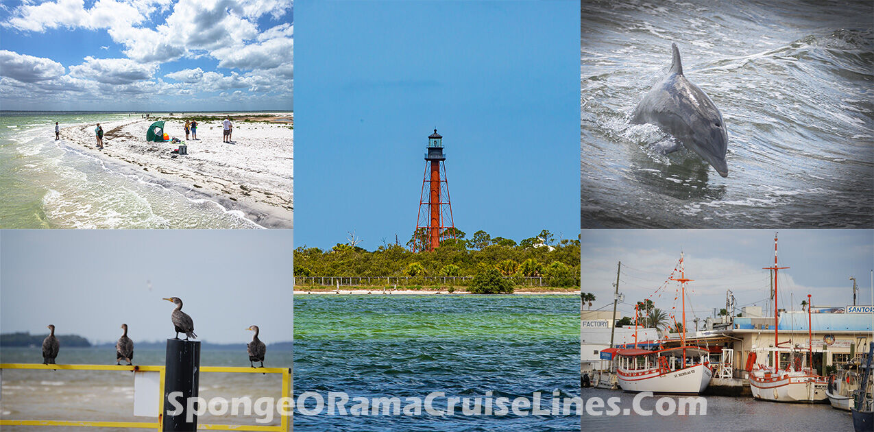 Spongeorama Cruise | Tarpon Springs FL