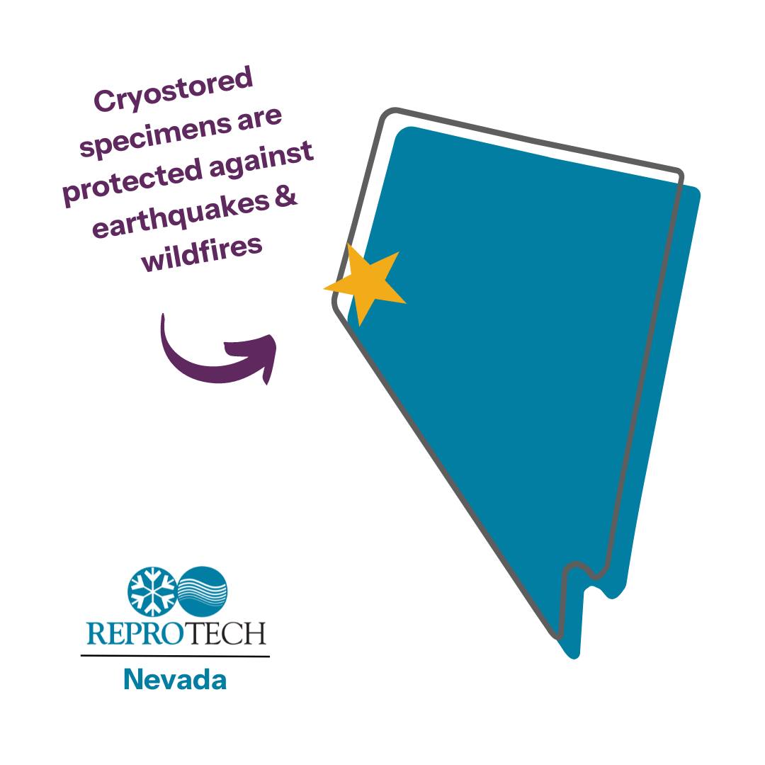 ReproTech - Just how protected are patients' cryostored specimens at ...