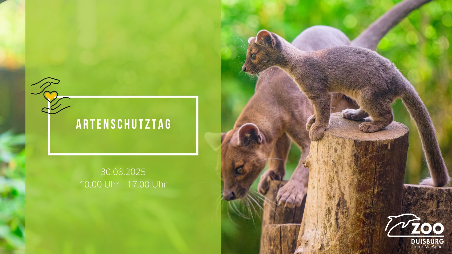 Zoo Duisburg Facebook