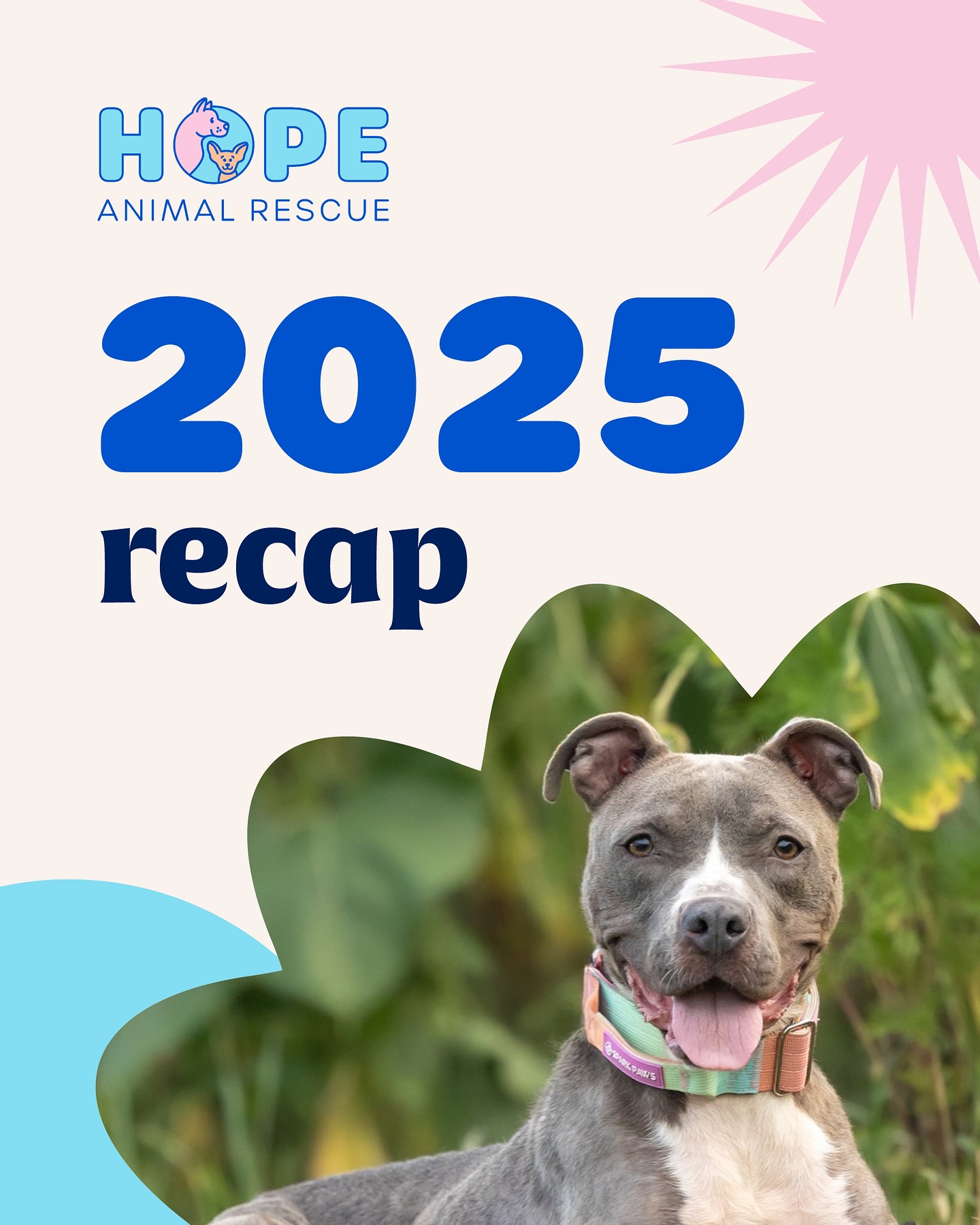 Hope Animal Rescue