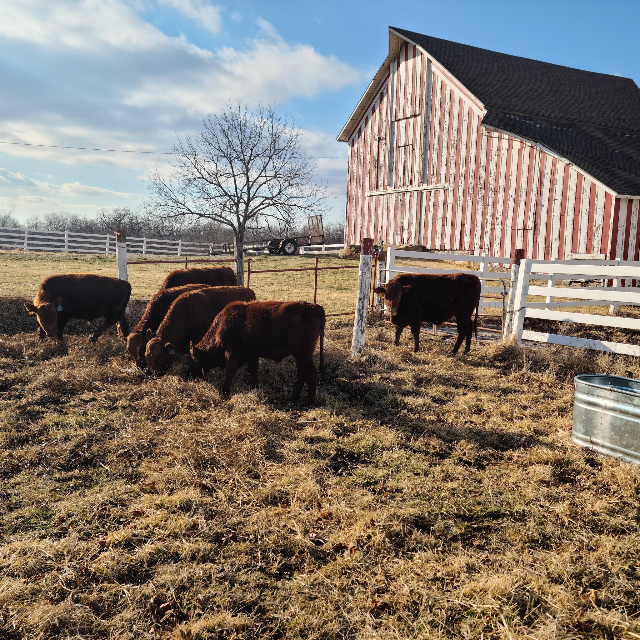 Thank you Cristina Quinn for the pics of the farm tour and for helping ...