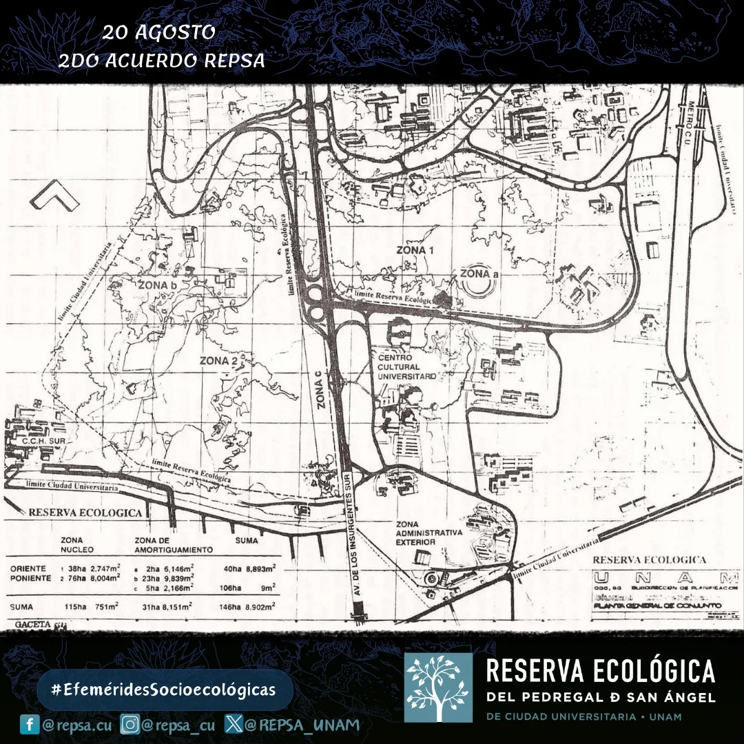 REPSA - 📰 2do Acuerdo de la REPSA 👉🏼 Un día como hoy pero de 1990, se ...