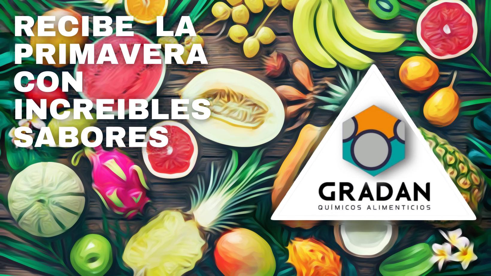 Gradan MX
