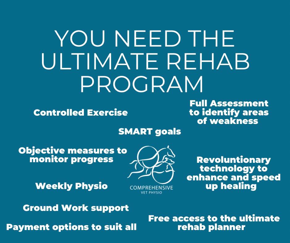 Rachel Chadfield - Comprehensive Vet Physio