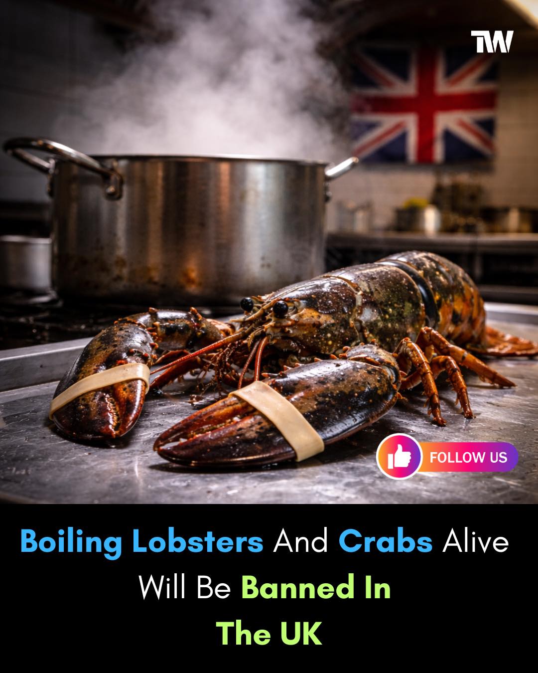 Techworm - 🦞🇬🇧 UK Moves To Ban Boiling Lobsters And Crabs... | Facebook