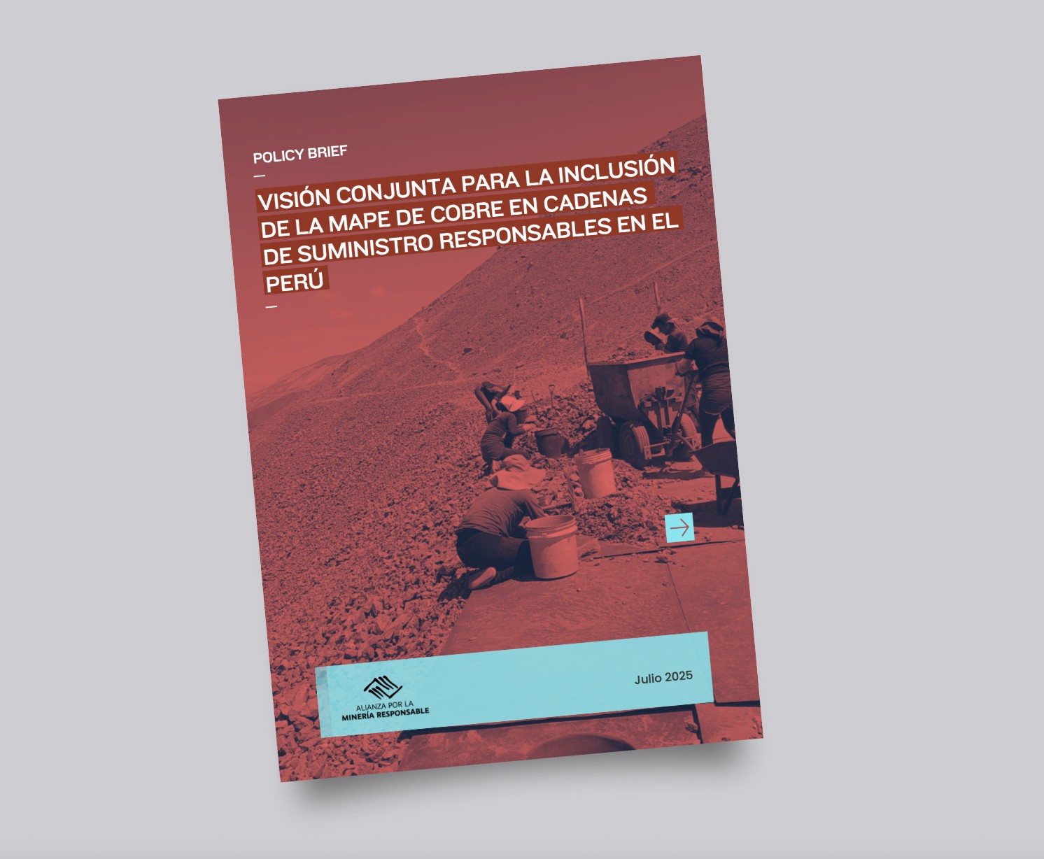 Alliance - ¡Tenemos nuevo policy brief disponible! New policy brief now ...