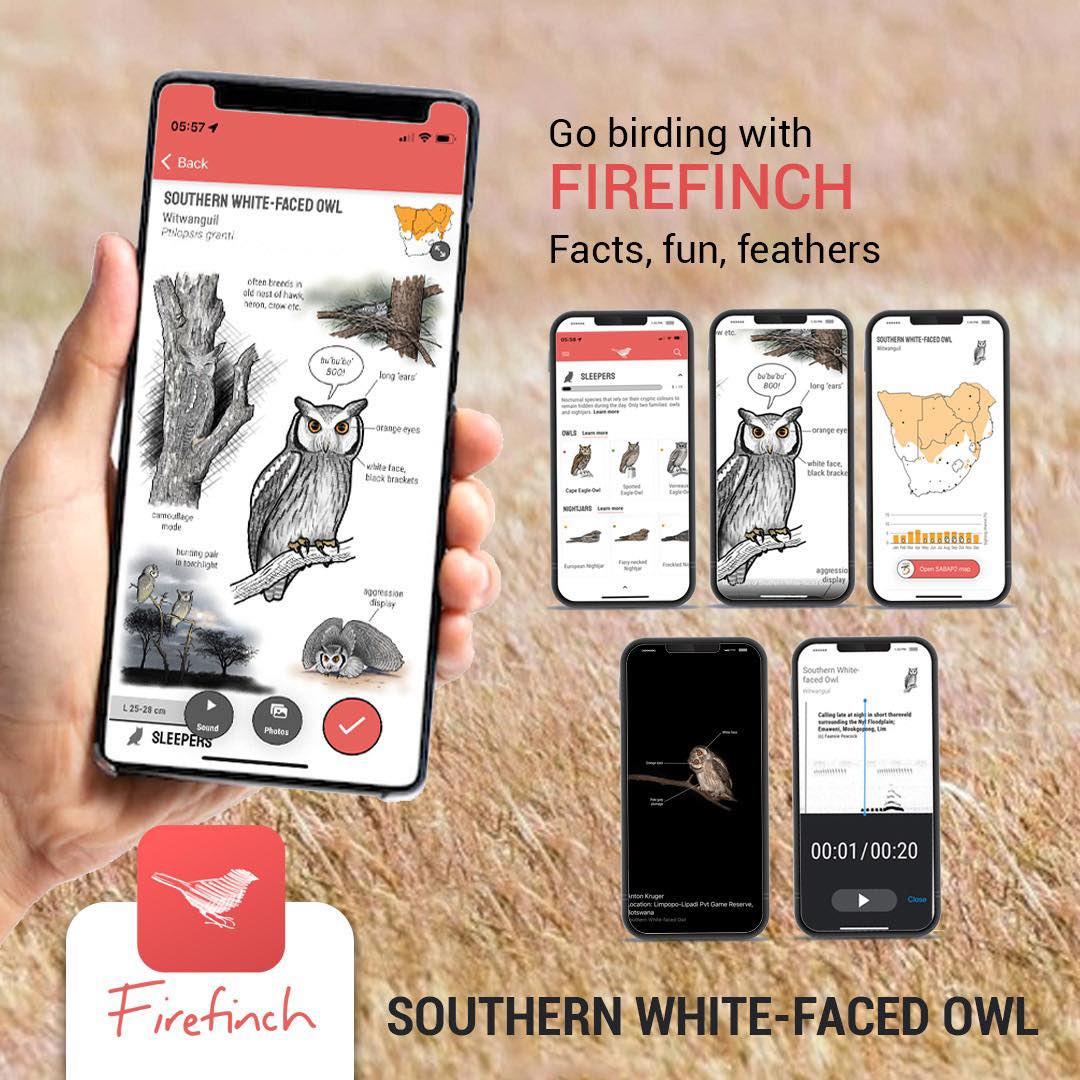 Firefinch app