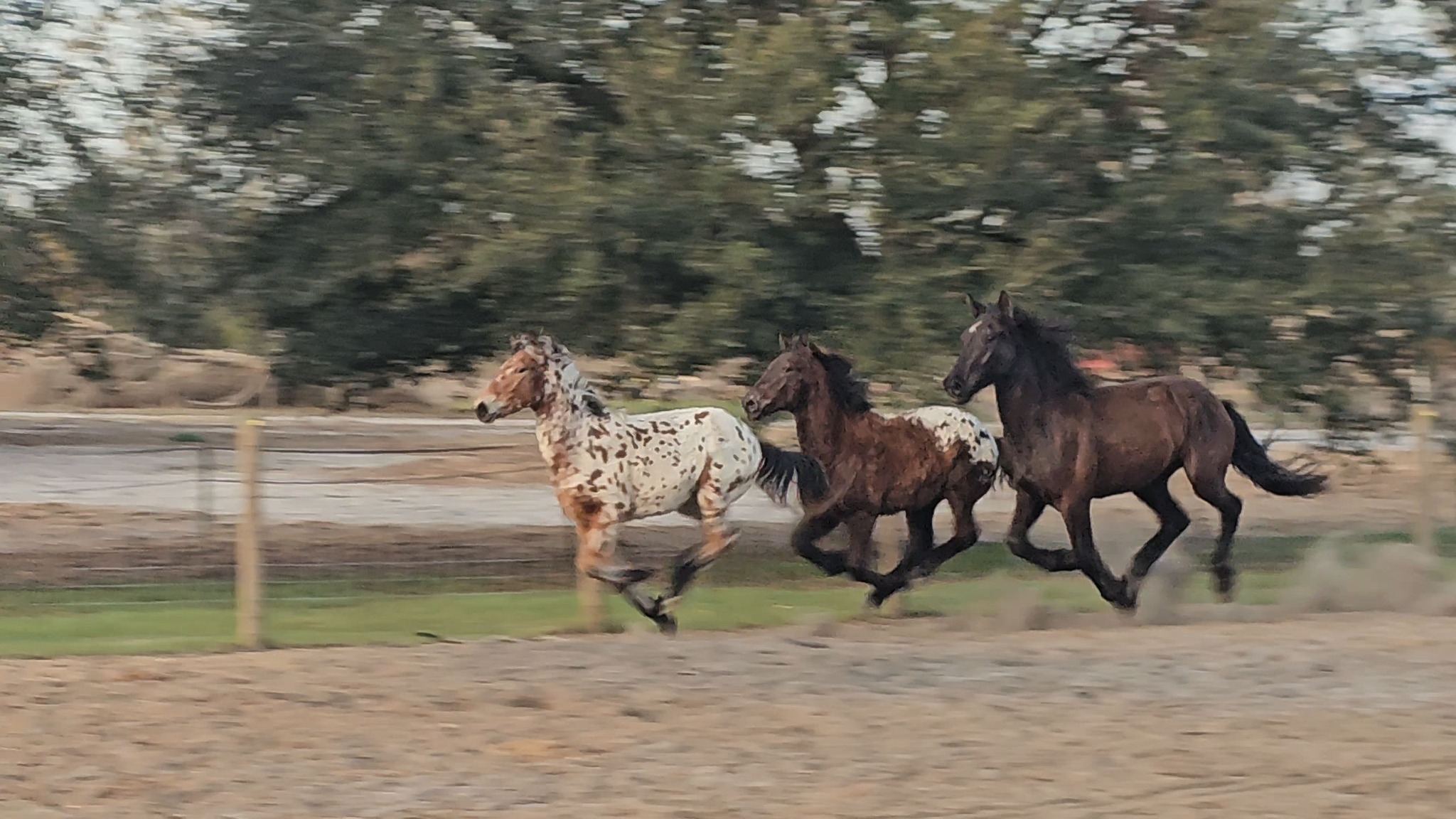 RTD's FirstBornUnicorn added a... - RTD's FirstBornUnicorn