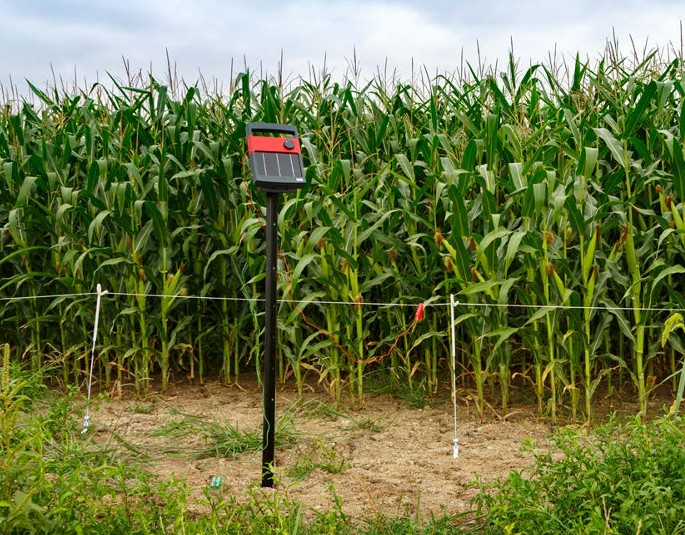 Superior - Speedrite by Datamars is the no-nonsense electric fencing ...