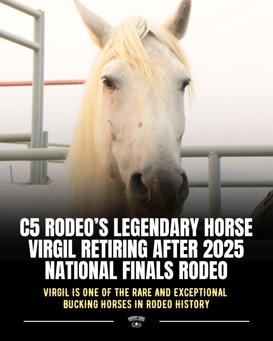 Addicted - C5 Rodeo's legendary bucking horse, Virgil, is officially ...