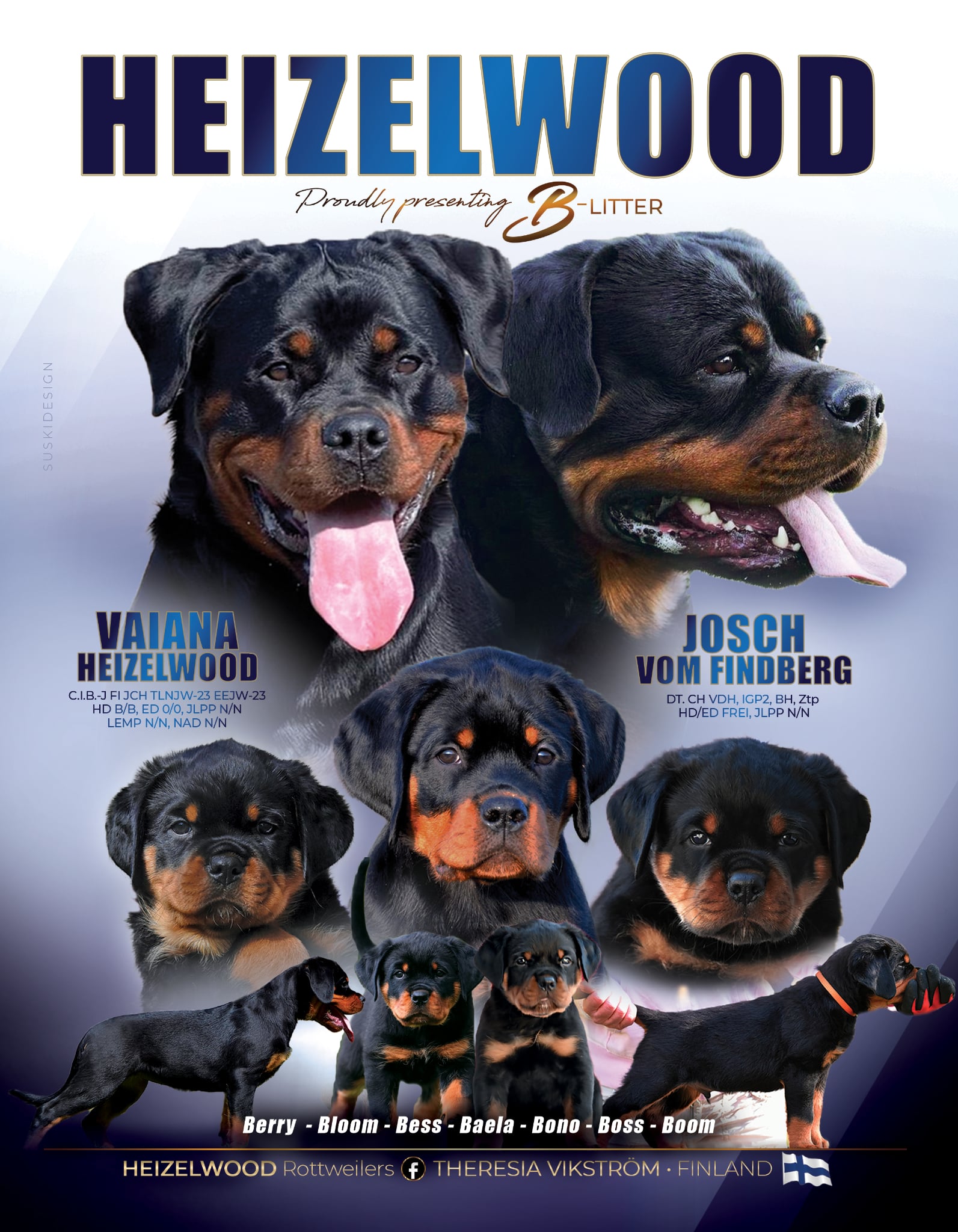 Total Rottweiler Magazine - Ernesto Arenasib - Hi He is Max, we ...