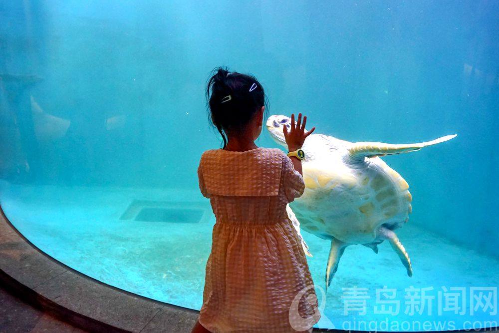 The Qingdao Aquarium is the oldest... - Qingdao City, China | Facebook